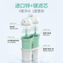 倍世（BWT） 家用净水壶滤芯滤水壶过滤壶通用 欧洲进口过滤芯技术儿童成长款 锌加镁滤芯套装 3支
