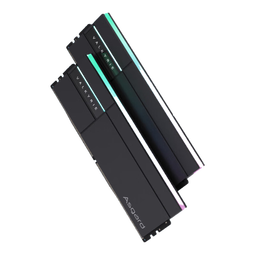 阿斯加特（Asgard）32GB(16GBx2) DDR5 6000 台式机内存条 女武神·瓦尔基里II代 RGB灯条 海力士A-die CL28 极夜黑 