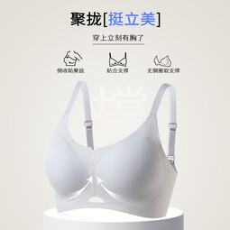 都市丽人内衣女小胸聚拢显大无痕上托提拉防下垂收副乳简约光面文胸罩 浅兰 L 36/80ABC 建议体重105-120斤