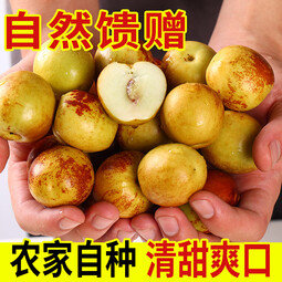 牛爱鲜 陕西大荔冬枣新鲜水果当季整箱大枣子脆甜多汁冰糖冬枣整箱 净重4.5-5斤超值装 新鲜