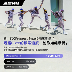 至誉科技Element系列CFeB卡CFexpressType B高速存储卡 XQD卡 佳能尼康松下相机 电影级CFEB卡 128GB（持续写速450MB/s） 顺丰速递 