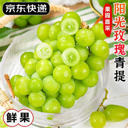 集南鲜  四川阳光玫瑰葡萄 新鲜香印青提子 JD快递现摘直发生鲜水果礼盒 含箱5斤彩箱（单果8-12g）净重4斤 
