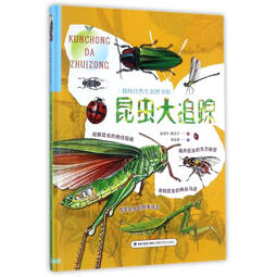 昆虫大追踪 我的自然生态图书馆 幼儿图书 早教书 故事书 儿童书籍