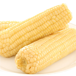 京鲜生东北白糯玉米250g*10棒 新鲜甜糯玉米棒真空包装粘玉米 源头直发 