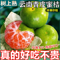 粤迎云南蜜桔酸甜口感特早熟桔子青皮蜜橘新鲜水果当季整箱青皮柑子 5斤精选果【多汁酸甜】净4.5斤 