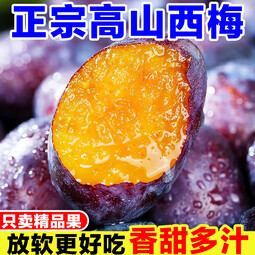庾丰当季现摘西梅 新鲜水果 孕妇蓝蜜法兰西梅团购送礼 5斤装（净果4.5斤）果王 
