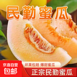 【香甜蜜瓜】正宗民勤蜜瓜头茬新鲜黄河沙漠甜瓜应季水果整箱包邮 蜜瓜带箱8-10斤
