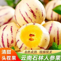 庾丰源头鲜采 当季现摘云南石林人参果 新鲜水果整箱孕妇 送礼团购 5斤装（净果4.5斤）单果80g-50g 
