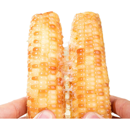 京鲜生西双版纳小花糯玉米(精选)4斤装单果140g+ 源头直发 