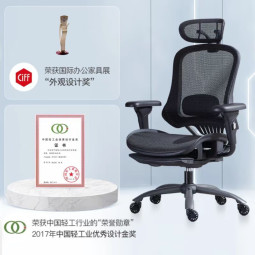 网易严选多功能人体工学椅转椅 电脑椅办公椅老板椅电竞椅开拓者2.0升级款 【标准款】黑色无搁脚(杆控)