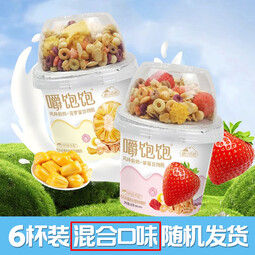 塘日塔格嚼饱饱搅拌酸奶水果谷物脆酸奶生牛乳发酵嚼着吃酸奶 6杯装【随机混合口味】*2箱