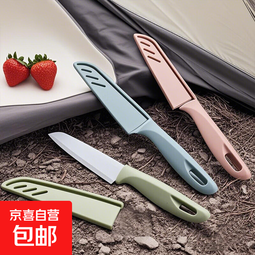 露营烧烤刀水果刀户外便携刀具套装不锈钢多功能厨房瓜果削皮刀 颜色随机3把 