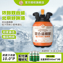 双合盛10.0°P小麦啤酒北京百年老字号聚会必备 桔汁风味精酿果啤5L 