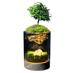 丘辰苔藓微景观生态瓶DIY办公室内桌面绿植摆件造景花卉盆栽生日礼物 有光青年（小夜灯）