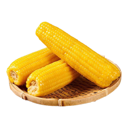 萄鲜客东北糯玉米真空独立包装 花糯黑糯黄糯白糯玉米即食早餐轻食粗粮 白糯玉米250g*10支 10支