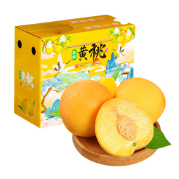 蒲恋正宗蒙阴黄桃山东【JJD多地次日达】当季新鲜水果爆甜黄金蜜桃子 3斤爽吃净重2.5斤【较划算】 精选鲜果【单果110g+】尝鲜 