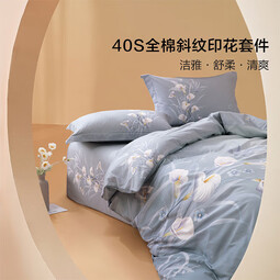 百丽丝水星家纺出品床上四件套纯棉100%全棉四件套床品被套床单套件1.5m床