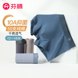 芬腾内裤男式2025年内裤中腰10A抑菌纯棉底裆简约平角内裤4条装 灰色/墨兰/灰紫/蓝色 4条 L 