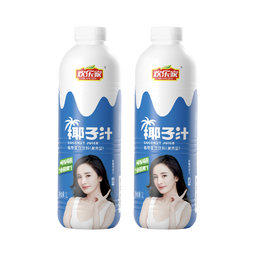 欢乐家 大瓶椰子汁 果肉型植物蛋白饮料 椰奶椰汁饮品宴席聚餐整箱 【2瓶】椰子汁1L*2瓶