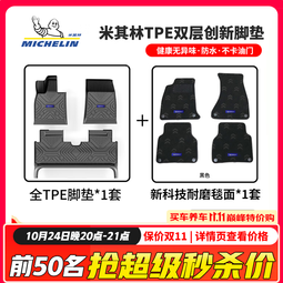 米其林（MICHELIN）汽车脚垫适用于本田雅阁思域脚垫缤智皓影CRV冠道凌派tpe专车专用 适用于本田11代思域【22款-至今】 双层