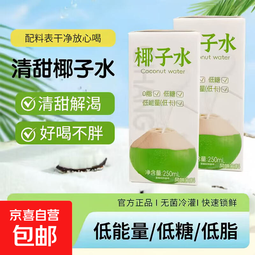 【0脂低糖低卡】椰子水椰子果汁饮料清爽解渴椰汁配料干净 椰子水250ml*2瓶