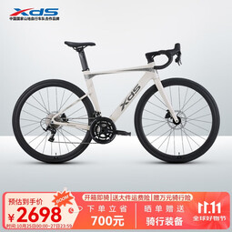 喜德盛公路自行车2025款AD300油碟UCI车架2x10速中空一体牙盘桶轴破风车 白蛇 450mm(适合身高155-165cm)