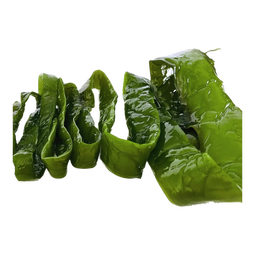 翡小翠大连裙带菜梗 海带梗海藻海芹菜聚餐凉拌小菜火锅煲汤热门商品 【含盐量15%】【一级品】裙带菜梗【净重】5斤