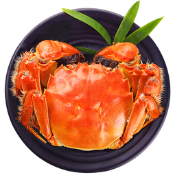 【活蟹】湖中秋色全母大闸蟹2.0-2.3两8只去绳螃蟹鲜活海鲜生鲜中秋送礼盒源头直发