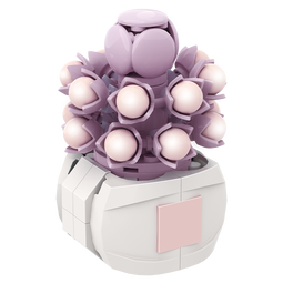 哲高积木多肉盆栽花卉可爱桌面拼装摆件送女生闺蜜伴手礼物少女心 国色天香