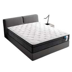 雅兰50周年经典纪念款 整网弹簧偏硬乳胶床垫 蘭朋友舒脊版 1.5*2米