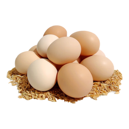 京喜加 鲜鸡蛋 土鸡蛋  五谷喂养 山林自养鸡蛋早餐 生鲜超市买菜40g 10枚 0.4kg