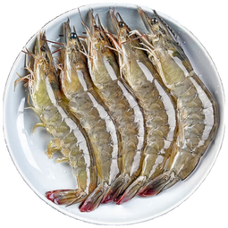 京东超市 海外直采厄瓜多尔白虾 盐冻 净重4斤 60-80只/盒 自营火锅食材