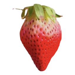 奶油红颜草莓苗加仑盆四季种植全国适用0.5加仑盆带盆带土栽好 红颜草莓苗+肥料 加仑盆【1盆】高10cm直径10cm