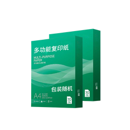 A4打印纸500张达令海同款70g加厚多功能双面复印纸打印办公快递打包草稿纸作业纸京喜自营 打印纸4包/ 2000张