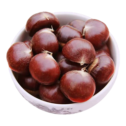 【糖炒板栗专用】大别山老树新鲜油板栗颗粒均匀饱满粉糯香甜 油板栗 6斤