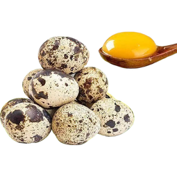 源头直供农家鹌鹑蛋 新鲜活蛋 现捡现发 健康滋补早餐优选正恩 颗颗精选30枚*1箱