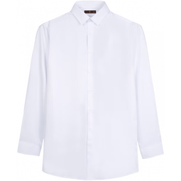 才子（TRIES）男士长袖衬衫纯色凉爽丝滑莫代尔桑蚕柔软面料商务衬衣白衬杉上装 白色 M 38(165/84A) 