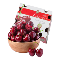 【元旦预售12.26发货】智利车厘子进口原箱礼盒当季整箱京东包邮 10斤(净重) 巨无霸3J 单果30-32mm 氮气锁鲜-原箱发货