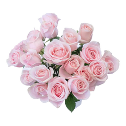 【玫瑰花】京东冷链云南直发节日鲜花束家用水养插花七夕节礼物3 粉玫瑰10枝 