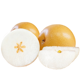 青青大地秋月梨山东莱阳正宗秋月冰糖梨 产地直发净重4斤 新鲜水果  秋月梨4斤精品实惠装