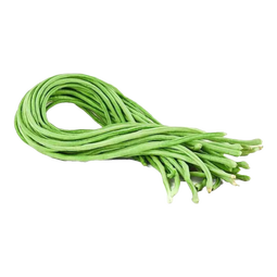 云南高山新鲜四季豆圆青豆农家蔬菜新鲜现摘蔬菜生鲜 带箱4斤