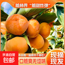 脆柿甜硬巧克力柿子冰糖心新鲜现摘应季水果秋柿不涩脆甜多汁 带箱5斤