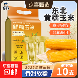 邹有才东北黄甜糯玉米棒2025年新货低脂粗粮代餐黏苞米真空装早餐 金色铝箔东北黄糯玉米2.5kg（10支） 