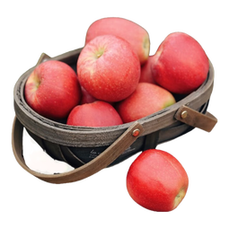 正宗昭通冰糖心苹果脆甜多汁 整箱5斤A+级大果【果径75-80】