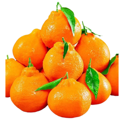 京觅四川春见耙耙柑 4.5斤单果80mm+ 粑粑柑柑橘生鲜水果源头直发