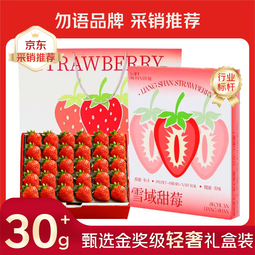 勿语大凉山高山露天种植新鲜草莓现摘现发 农家草莓产地直发采销推荐 大凉山28颗网红礼盒果王30g+ 