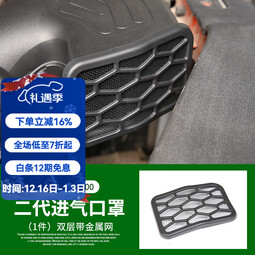 帕肯 适用坦克300改装发动机进气口防尘保护罩进气管盖电瓶负极盖配件 24款300挑战/征服（进气口罩二代双层带金属网） 