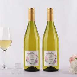 天帕智利中央山谷原瓶进口 天帕霞多丽干白葡萄酒13度750ml2支 霞多丽2支装