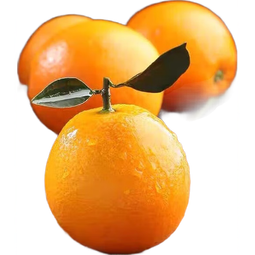 九通赣南脐橙-果园现摘 正宗赣南脐赣南早橙应季水果 含箱2斤装 90-100mm 