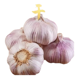 金乡新干蒜新鲜品质生鲜蔬菜调味料金乡农家自种大蒜小果3.5-4.5 【尝鲜】200g8头 